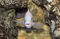 /album/www-m-demircioglu/almanya-474-jpg/